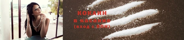 крисы Алексин