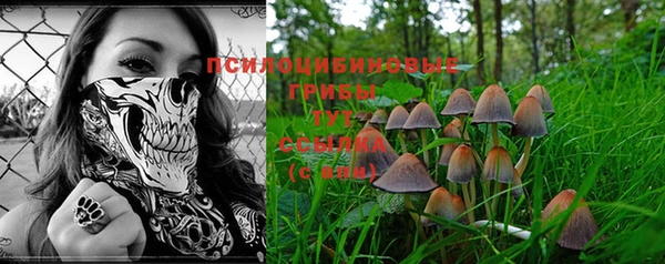 стафф Алзамай