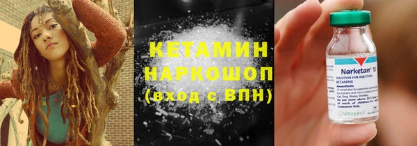 крисы Алексин